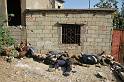 Israel,Terrorist,state,Attacks,to,Palestine (35)